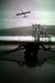 victory-project-5
